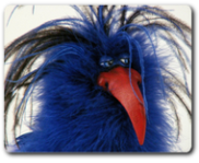 Mousepad individuell gestaltet.