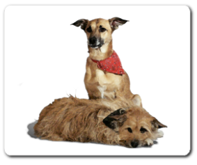 Mousepad individuell gestaltet.